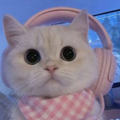 Ната Котик, 23.9