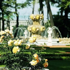 Александра Кондратова