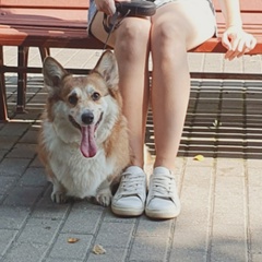 Елена Федина, 7.5